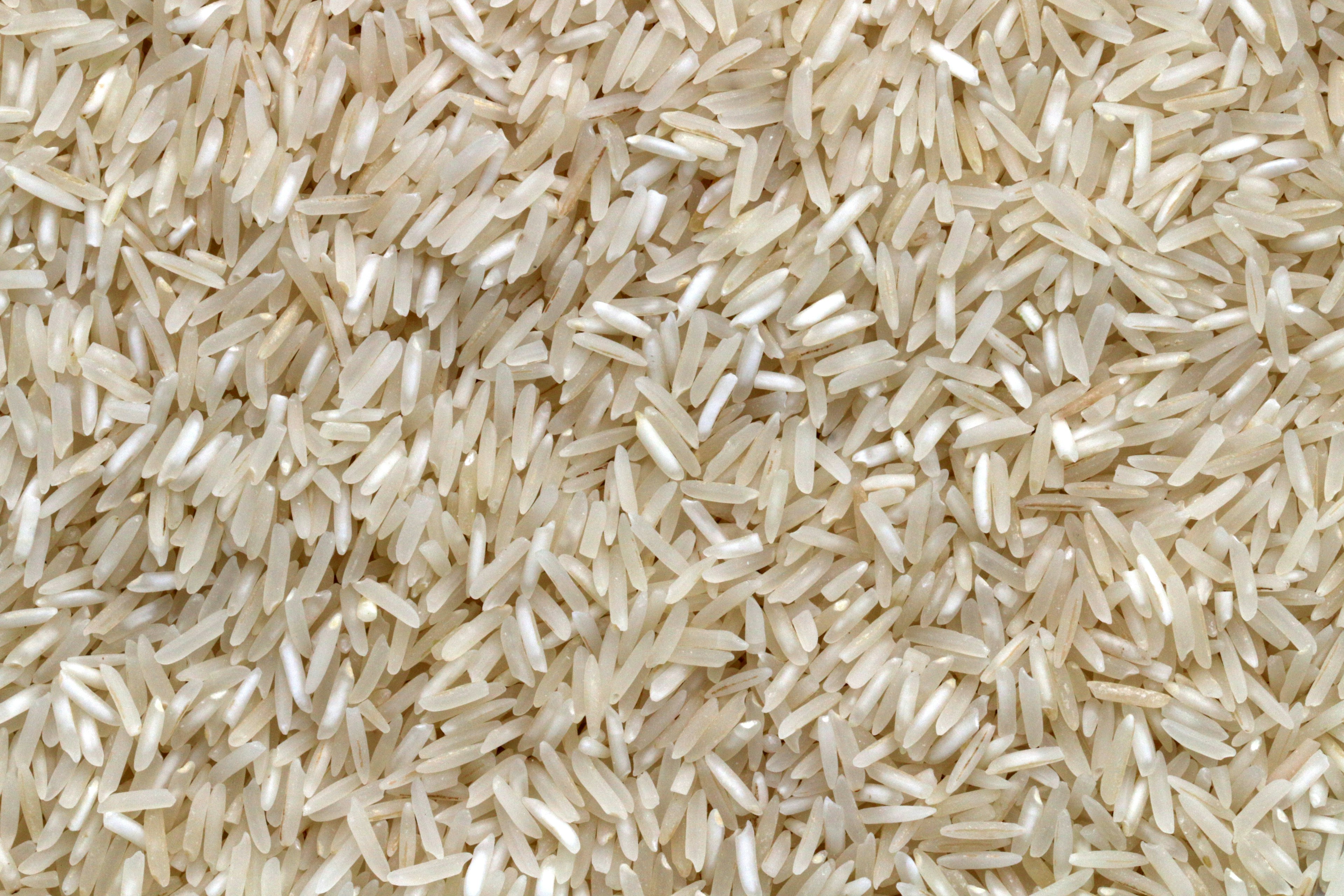 Quality Ragi Millet